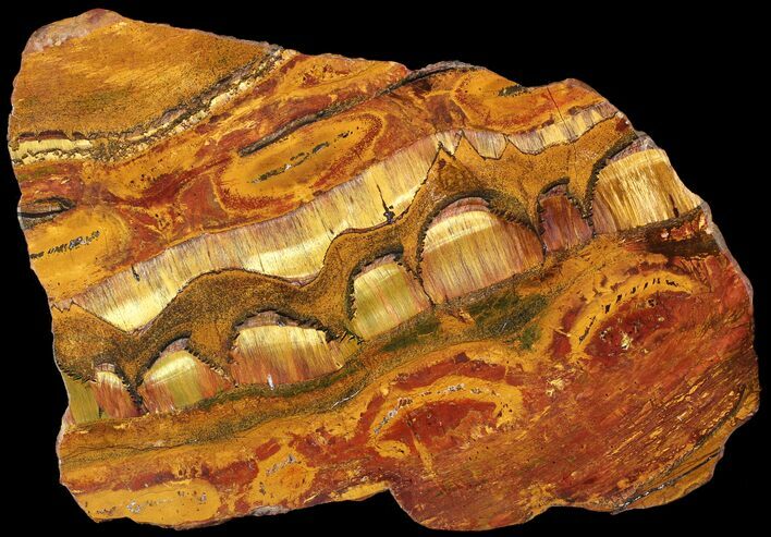 Marra Mamba Stromatolite - Mt Brockman ( Billion Years) #63092